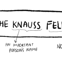 The Knauss Fellowship